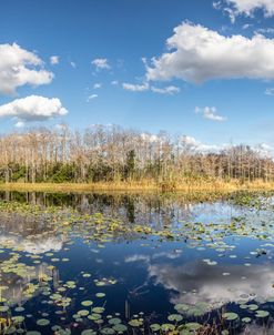 Beautiful Waters In The Clouds Panorama