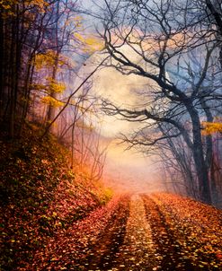 Autumn And Winter’s Embrace