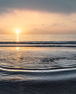 Tidal Pools In Gold And Silver