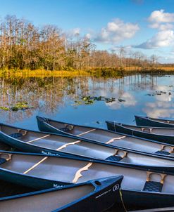 Floating In Aqua Blues