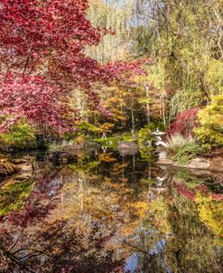Garden Reflections On An Autumn Morning