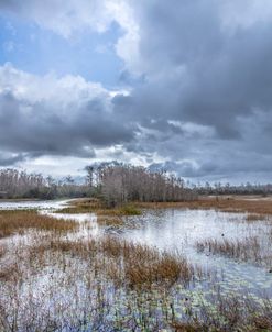 Clouds Over Grassy Waters