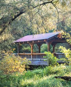 Sunlight Over The Covered Bridge