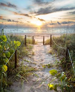 Stroll Into Paradise