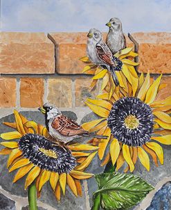 004 House Sparows with Sunflowers