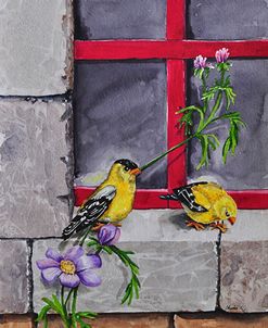 006 Gold Finches