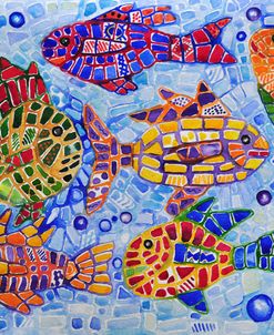 Tropical Fish