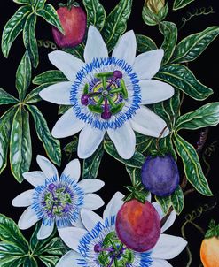 Passion Flowers