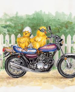 Biker Chicks