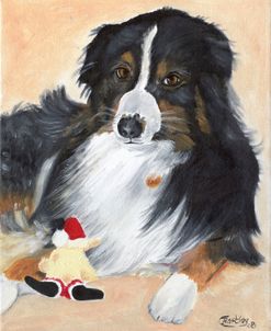 Collie Sal and toy