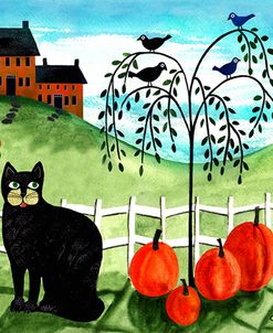 Cats Crows & Pumpkins