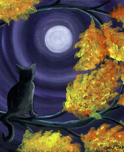 Autumn Black Cat