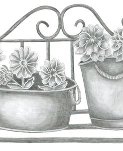 Flowers In Pots