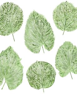 Six Green Leaves