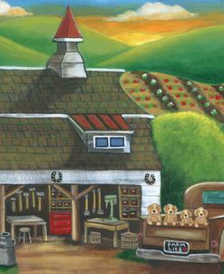 Working Farm Puppy Companions