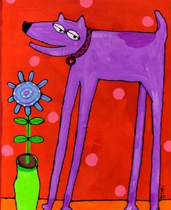 Purple Dog