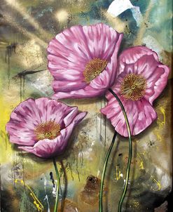 Pink Poppies