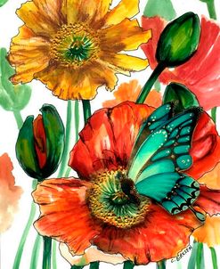 Poppies and Blue Butterfly