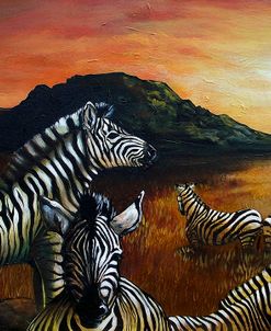 Zebra Sunset