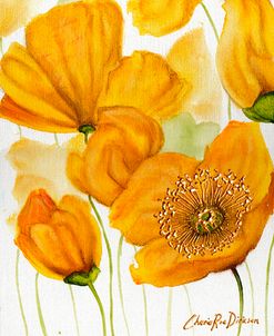 Yellow Poppies