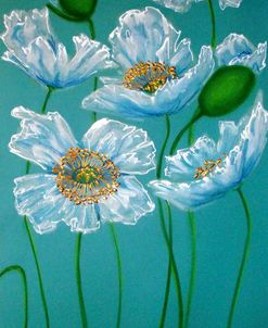 White Poppies