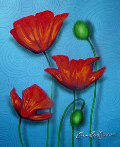 Red Poppies on Blue