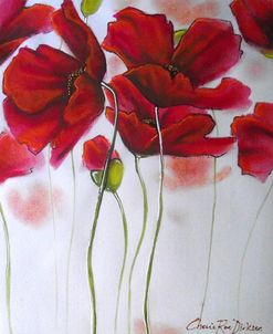 Red Poppies