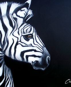 Zebra On Black