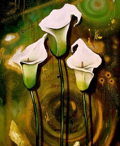 Arum Lilies