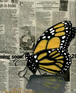 Butterfly On My Newspaper