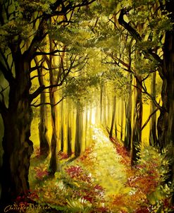 Sunlit Forest Path