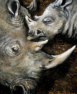 Rhinos