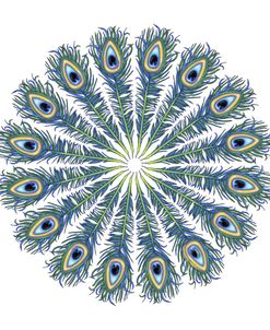 Peacock Feather Mandala