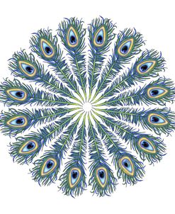 Peacock Feather Mandala