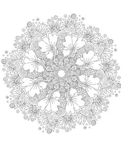 Flower And Spirals Mandala Black And White