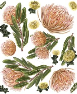 Pincushion Protea Pattern