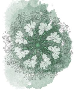 White Poppy Mandala