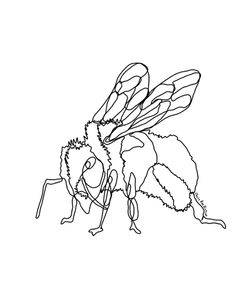 Bee