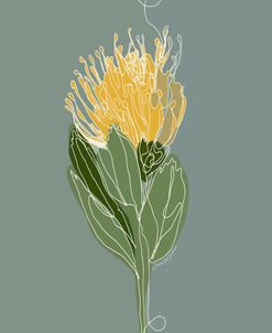 Yellow Pincushion Protea