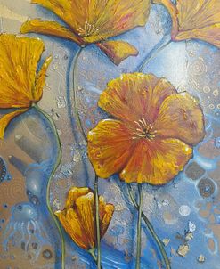 California Poppy Dreaming