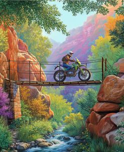 Bridge Rider