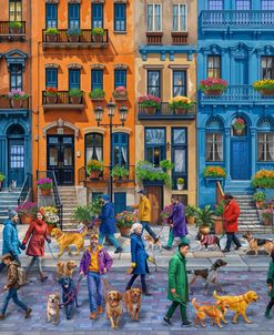 Dog Walkers