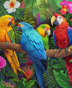 Four Feathered Friends