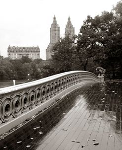 Bow Bridge 2010