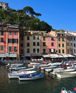 Portofino 2A