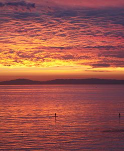 ZZZ_Catalina Sunset