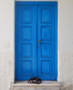 Blue Door And Cat