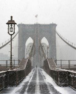 Brooklyn Bridge Snow