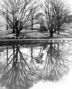 Central Park Lake