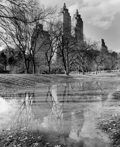 Central Park Reflections